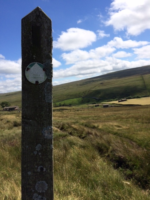 Indecipherable yellow dot sign post
