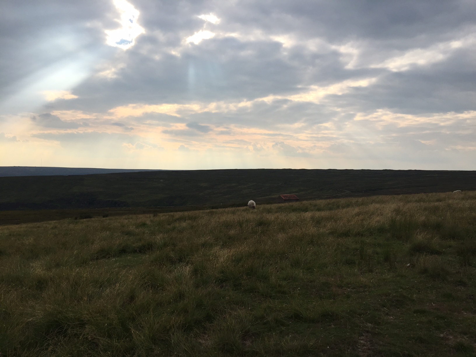Goodnight from the moors
