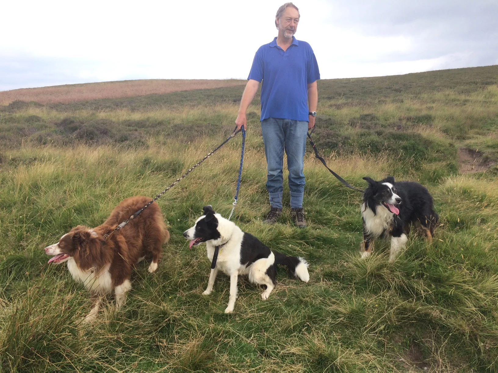 Ben, Skye and Merc (sorry - forgot to ask the farmer his name….)