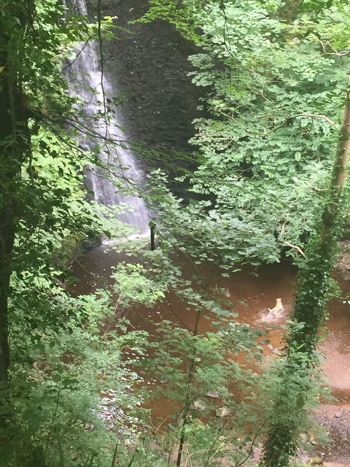 Falling Floss Waterfall