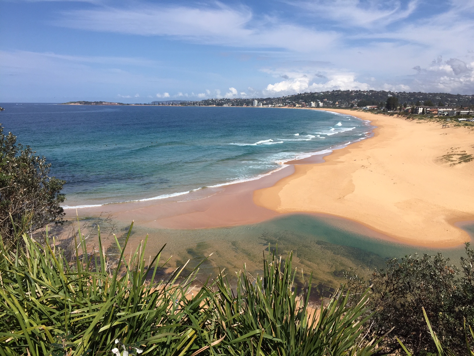 Narrabeen and Collaroy beaches