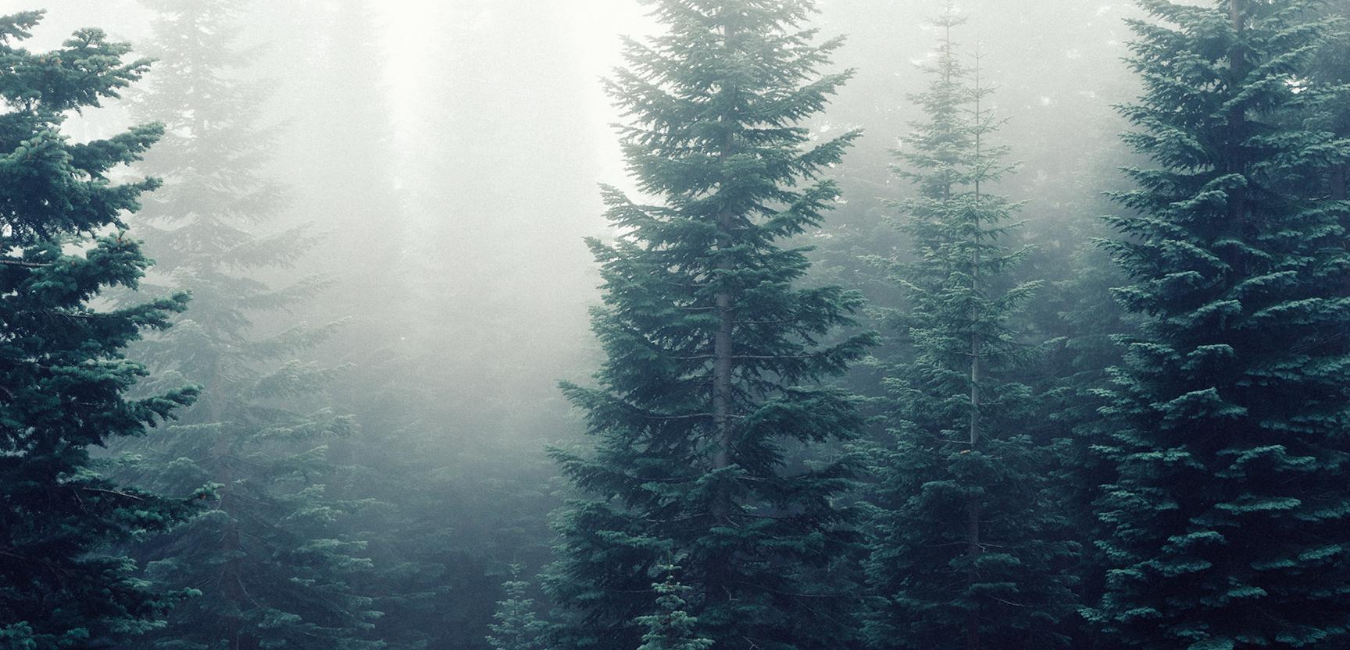 Untitled design copy 3.png