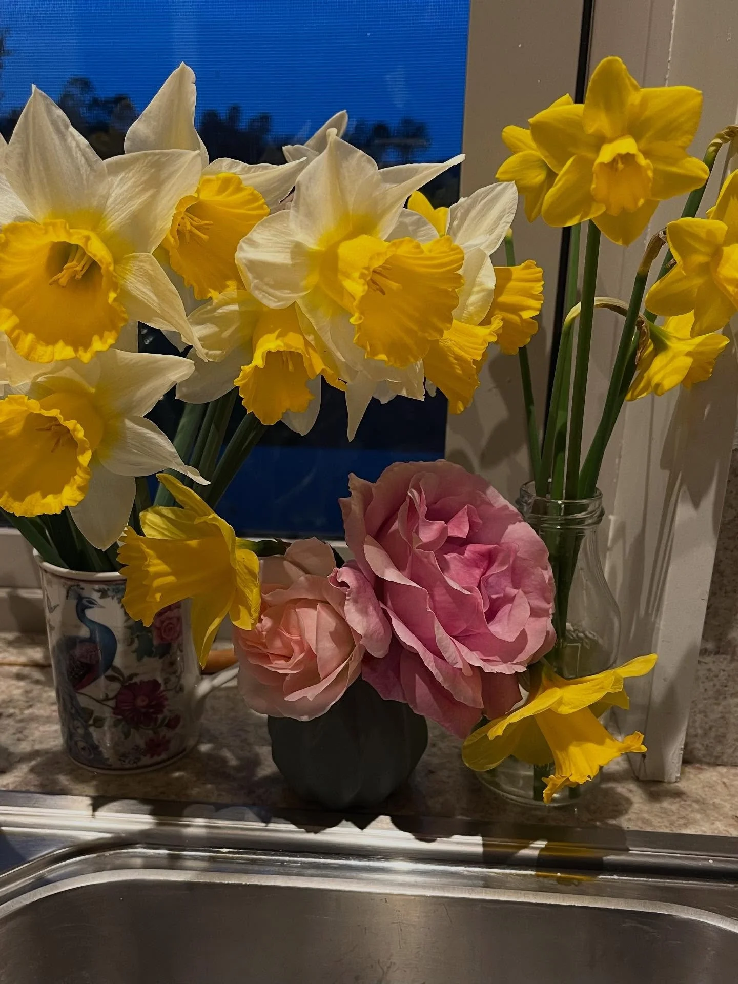 💛 We have a profusion of daffodils in the garden, and also jonquils. We&rsquo;ve also had a lot of wind so when the stems bend almost vertical, I am naturally compelled to pick them. Bunches for elderly family members, young family members, and also