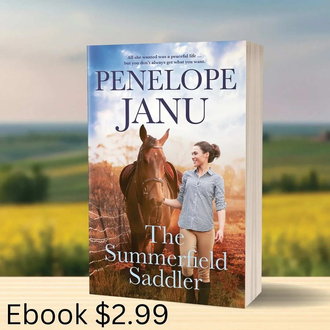 For a limited time, The Summerfield Saddler is on special as an eBook. I loved writing Mackenzie and Kit&rsquo;s story and hope you love reading it.  In other news, my books are all stand alone, but you&rsquo;ll be able to read Kit&rsquo;s brother&rs