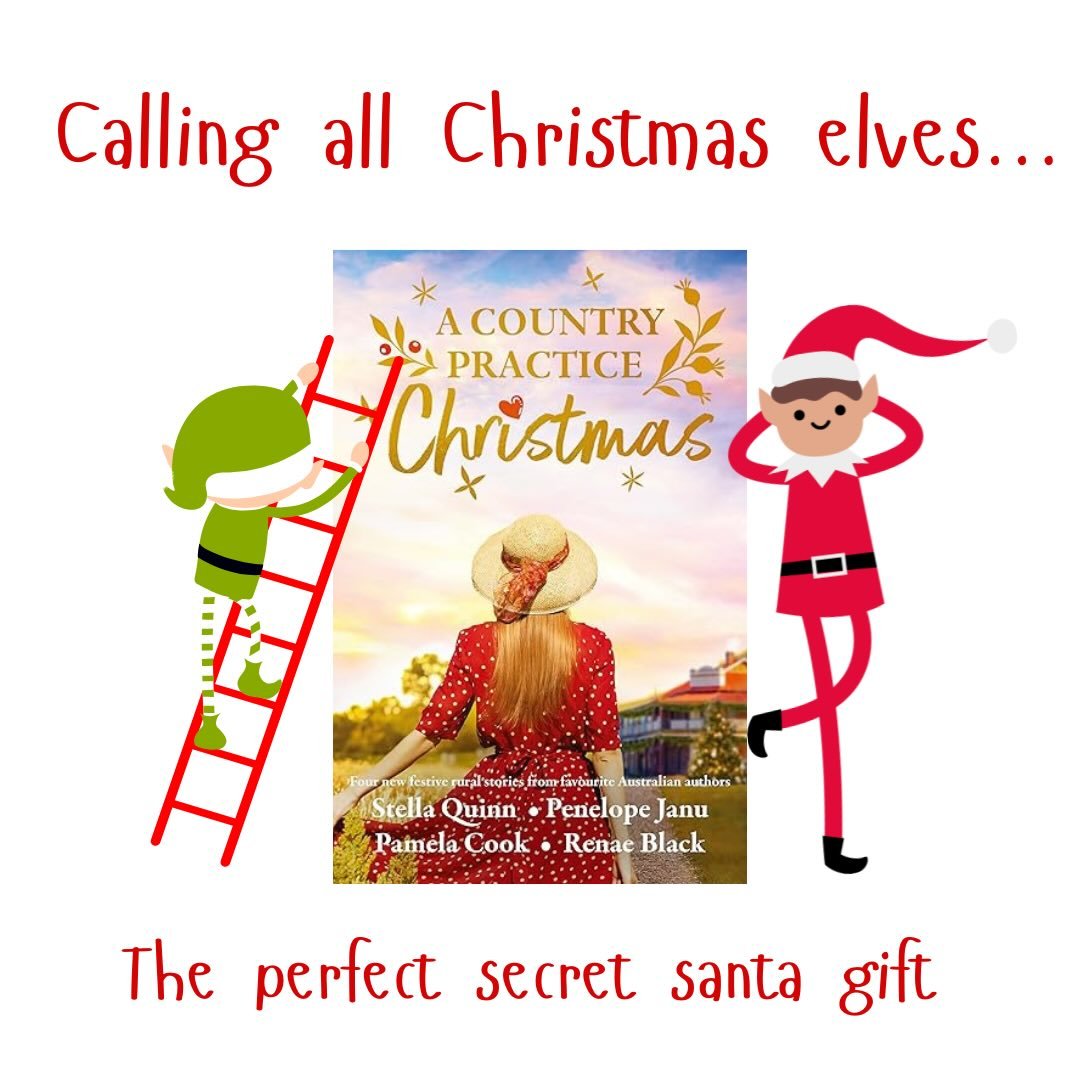 One calendar month to Christmas and this anthology might be the perfect gift. Fabulous stories from talented writers Stella Quinn, Pamela Cook and Renae Black (also me) is Christmas as it&rsquo;s meant to be! Your Secret Santa might be a work wife wh