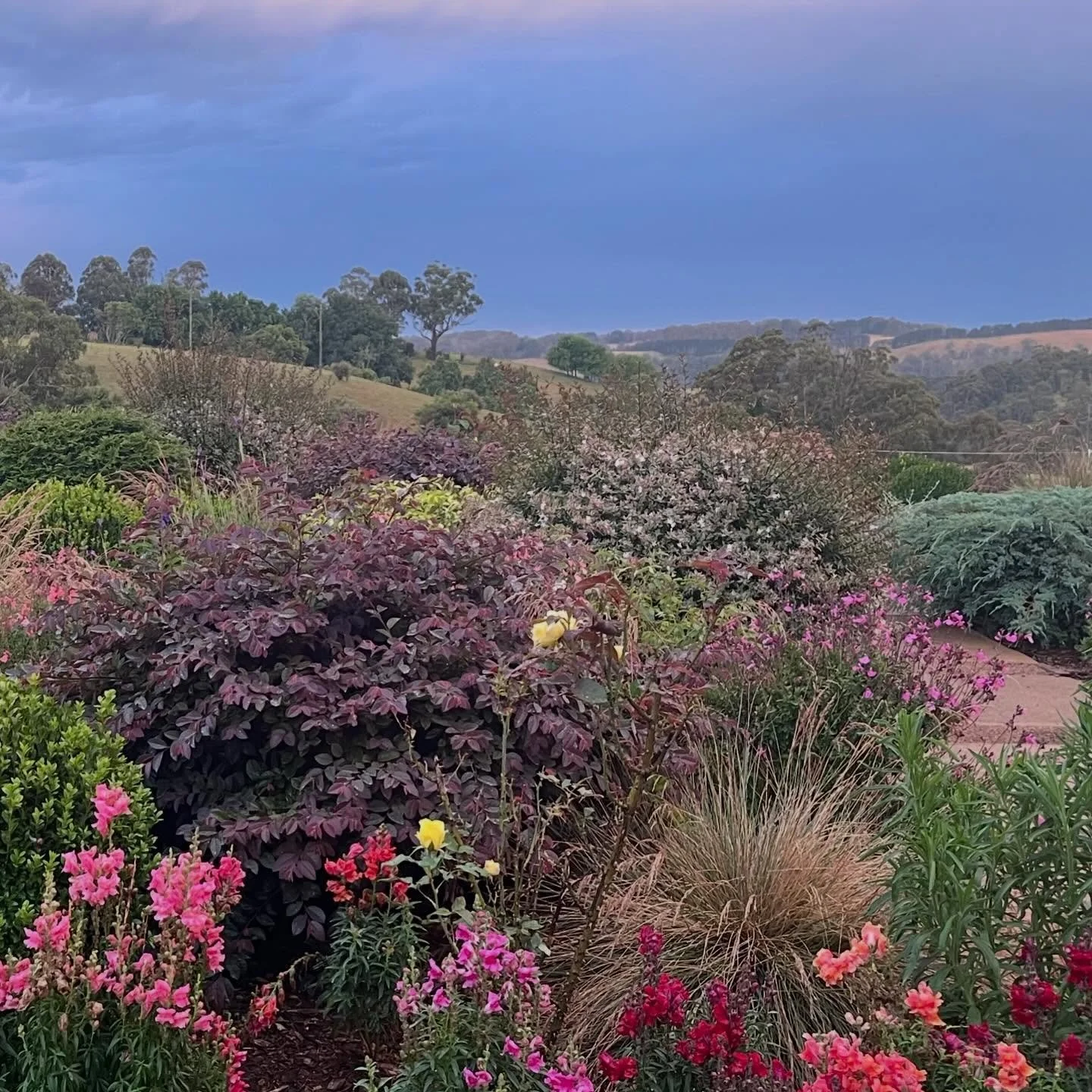 I love my family. But I also love my garden and our farm and the National Park on our doorstep. That is all. #outoftheblue