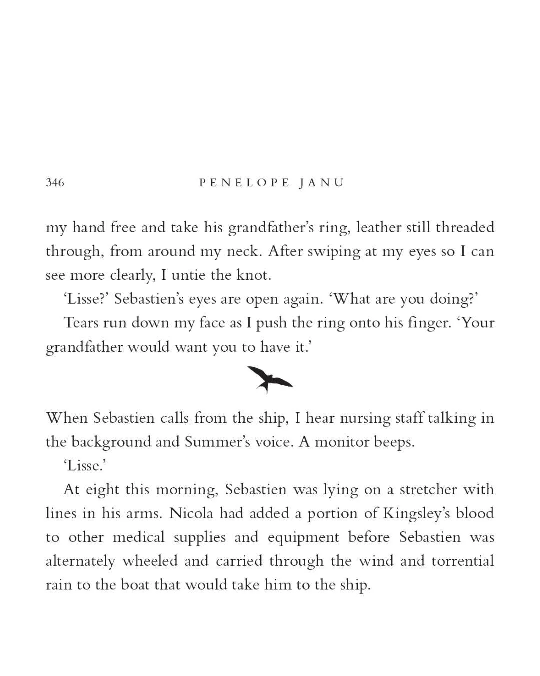 💙 A dinkus (often marked by an asterix) is not only a wonderful word, but a scene separator in a novel. I&rsquo;ve had some excellent dinkuses (or is that dinki?) in my ten novels including a horseshoe and a frog. In my ninth novel, The Summerfield 