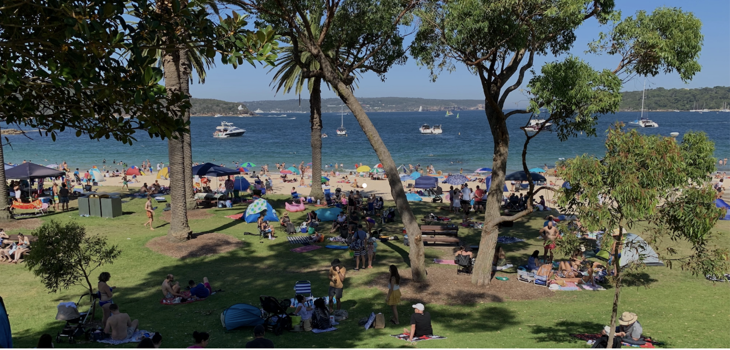 Screenshot 2026-01-18 at 12.53.10 pm.png