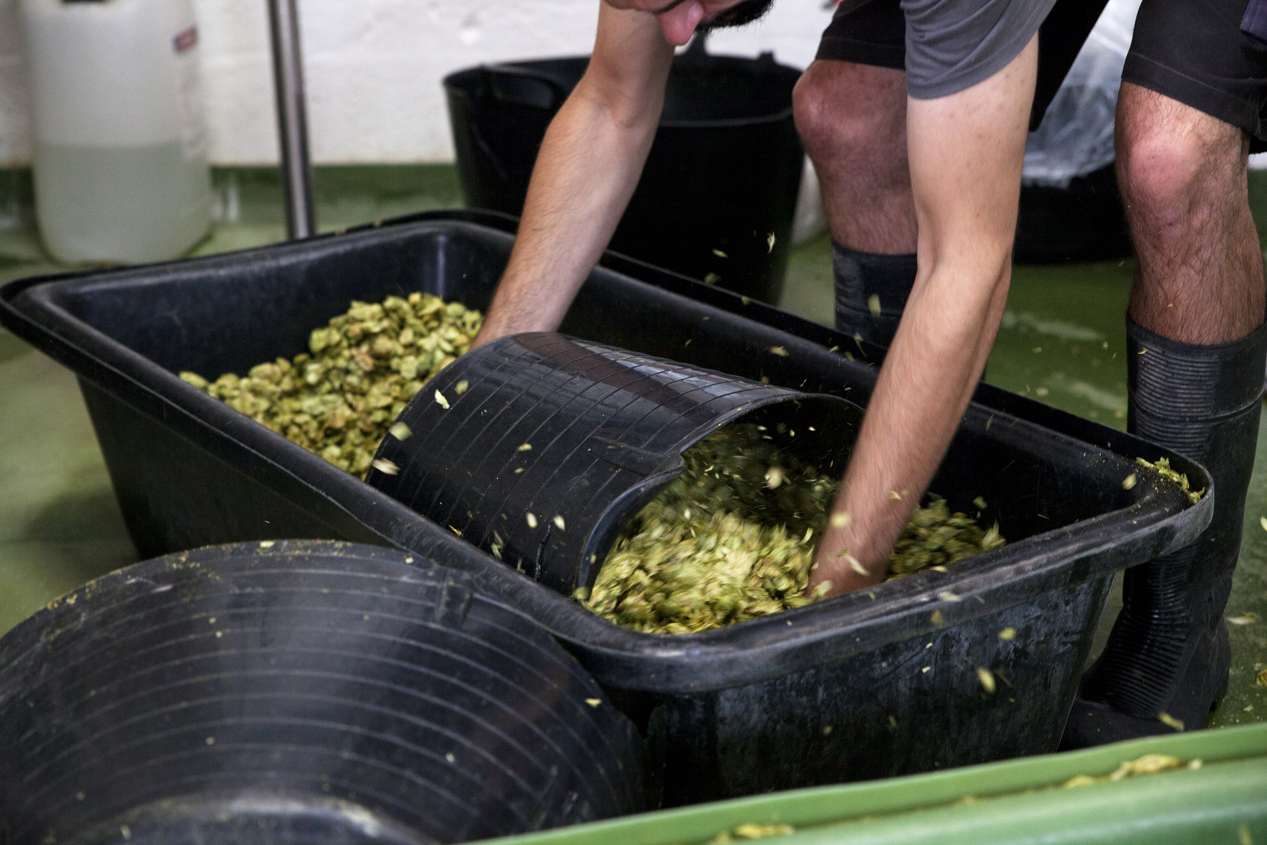 Bristol Beer Exhibition _01.jpg