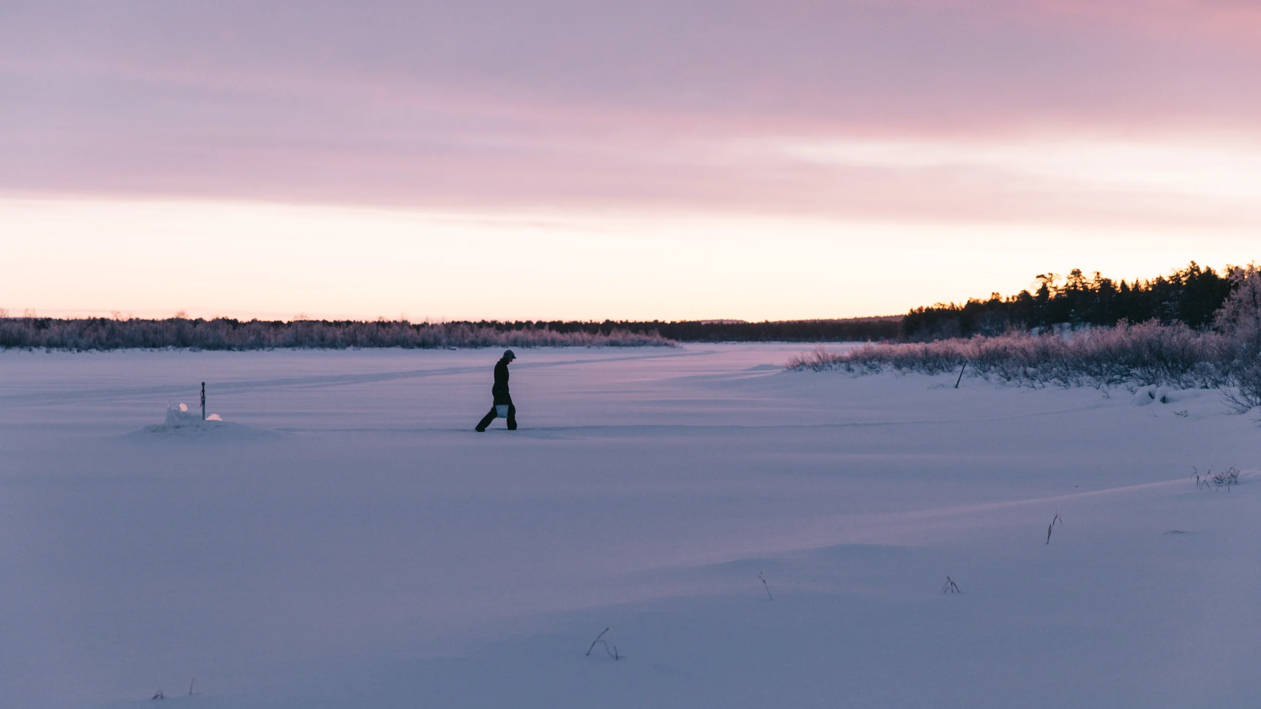 Arctic Cold Squarespace-1.jpg