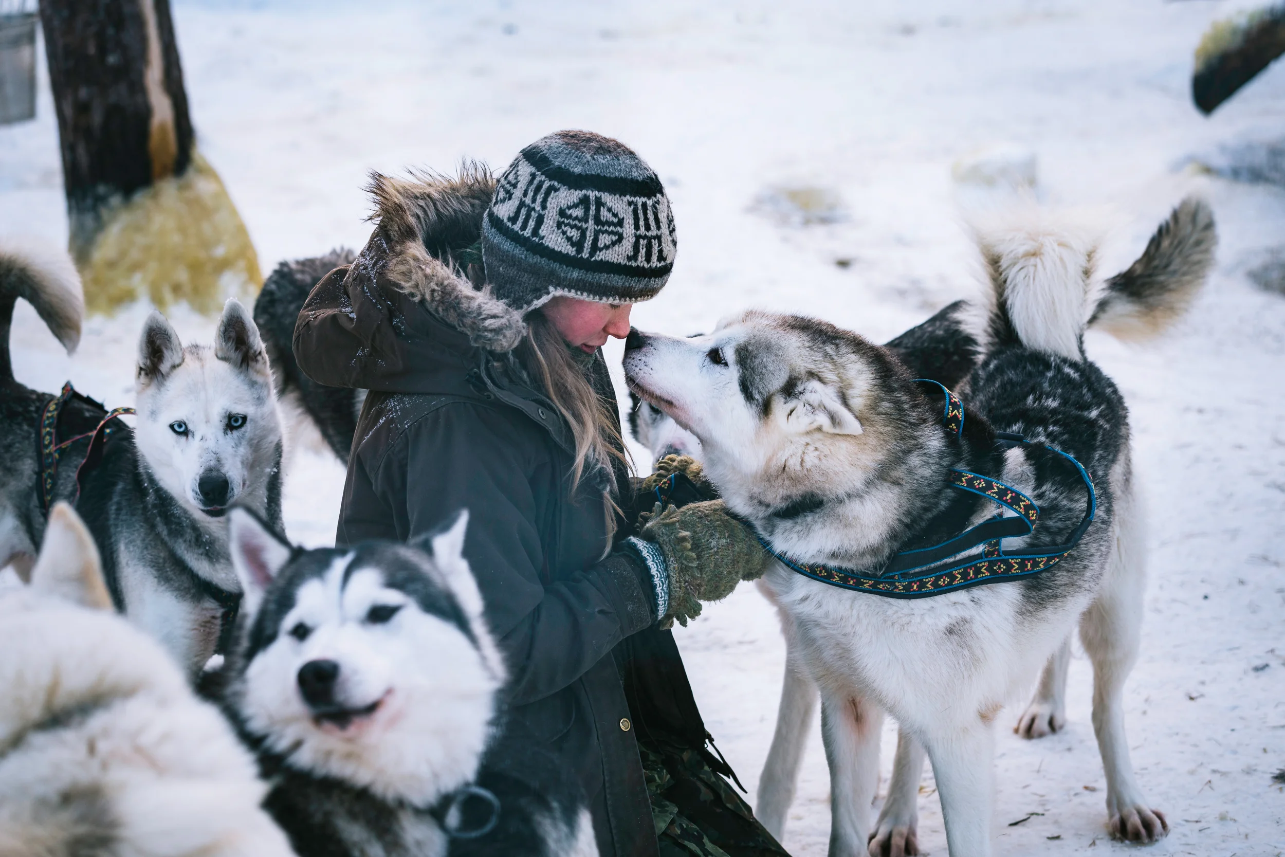 Arctic Cold Squarespace-9.jpg
