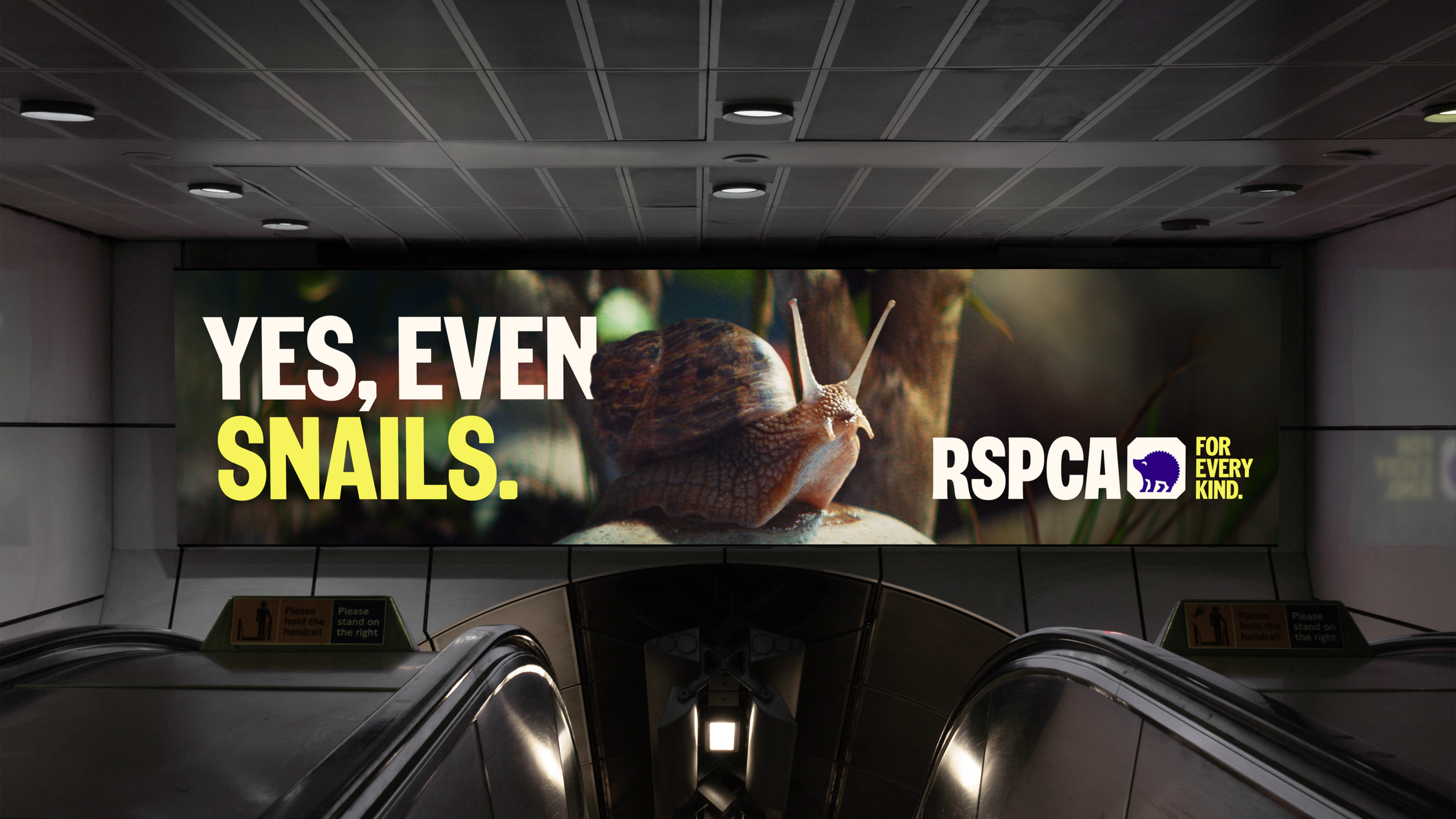 RSPCA_OOH_Snail copy poster.png