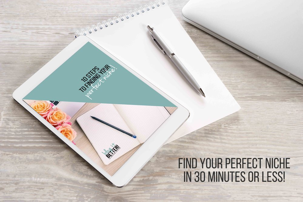 10 Steps to Finding Your Perfect Niche - Workbook