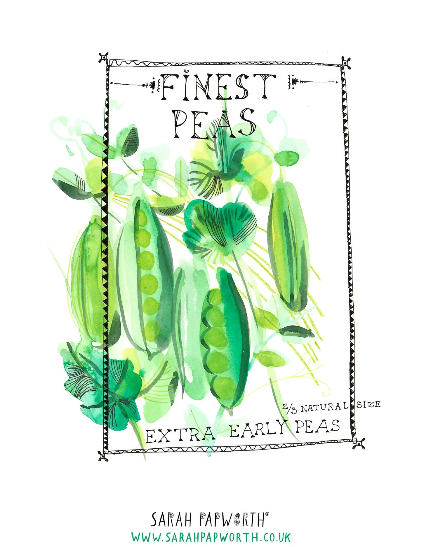 pea illustration food watercolour editorial by sarah papworth.jpg