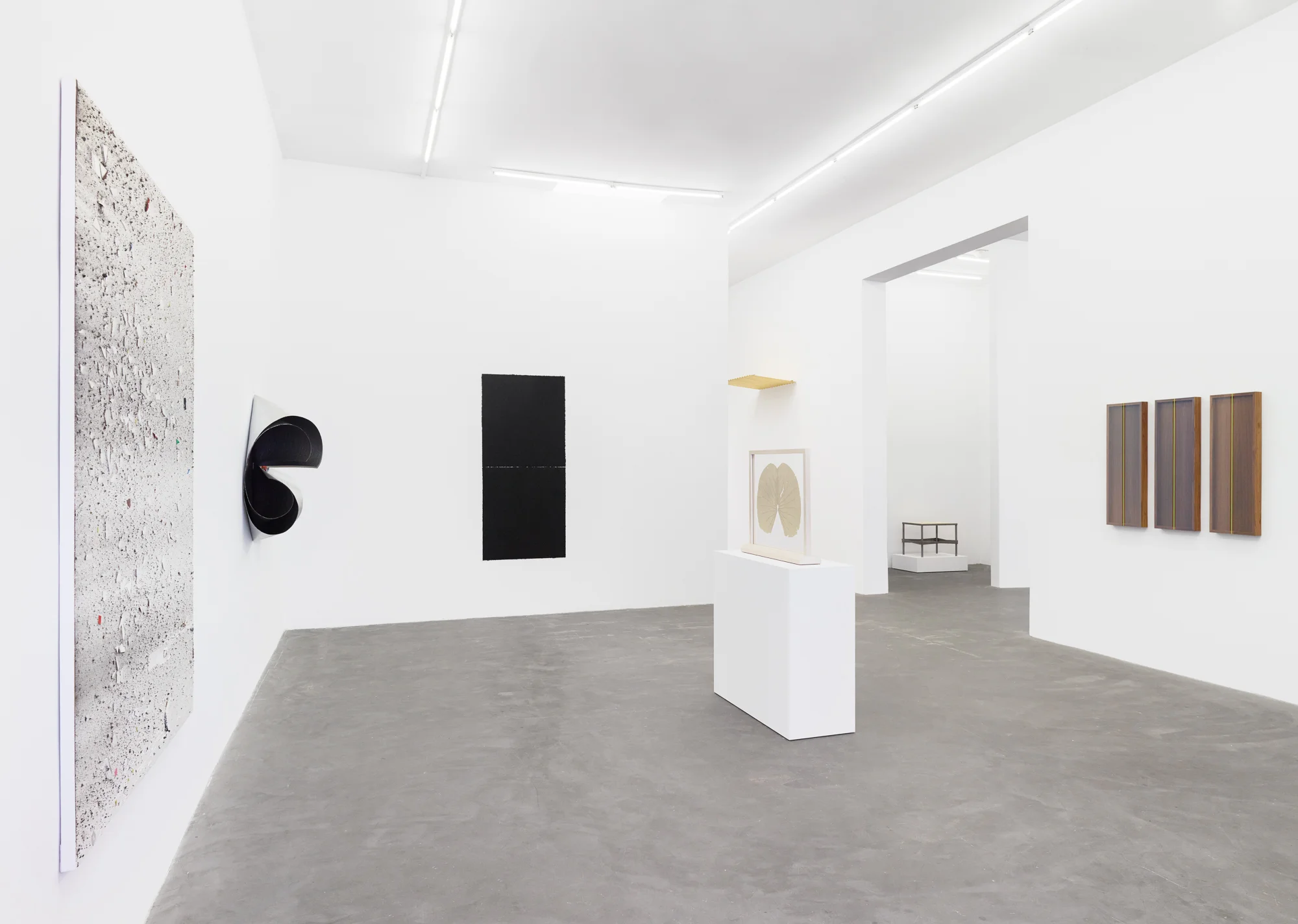 The Sound of Silence_Praz-Delavallade_Install9.jpg