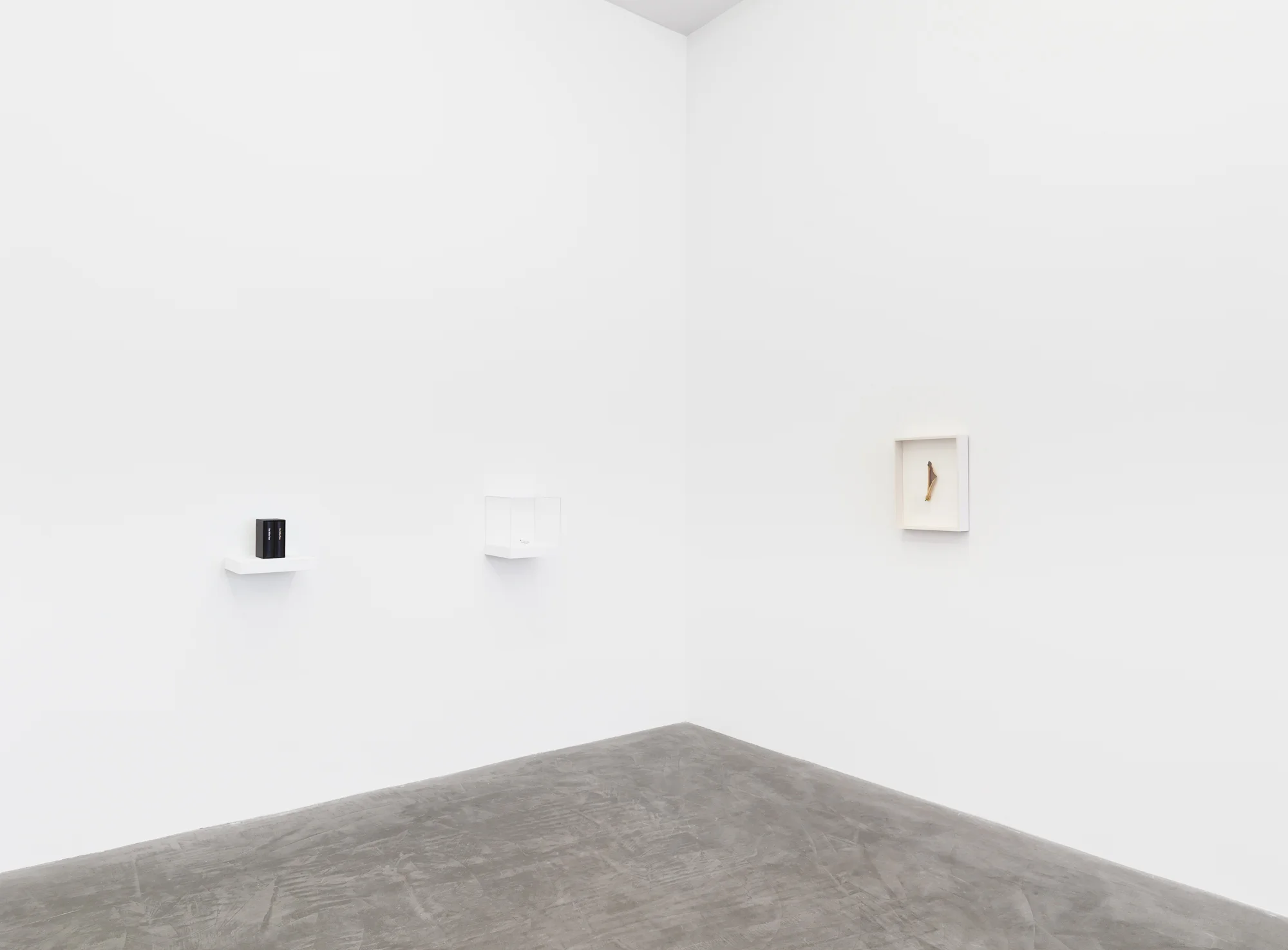 The Sound of Silence_Praz-Delavallade_Install12.jpg