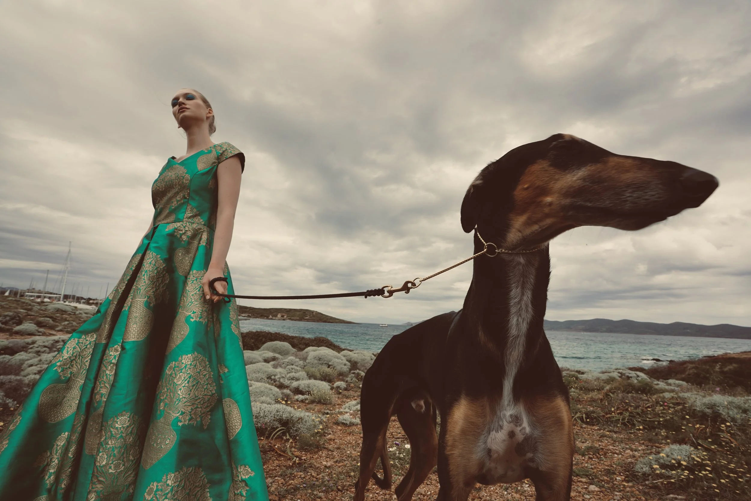 The Book of Laughter and Forgetting