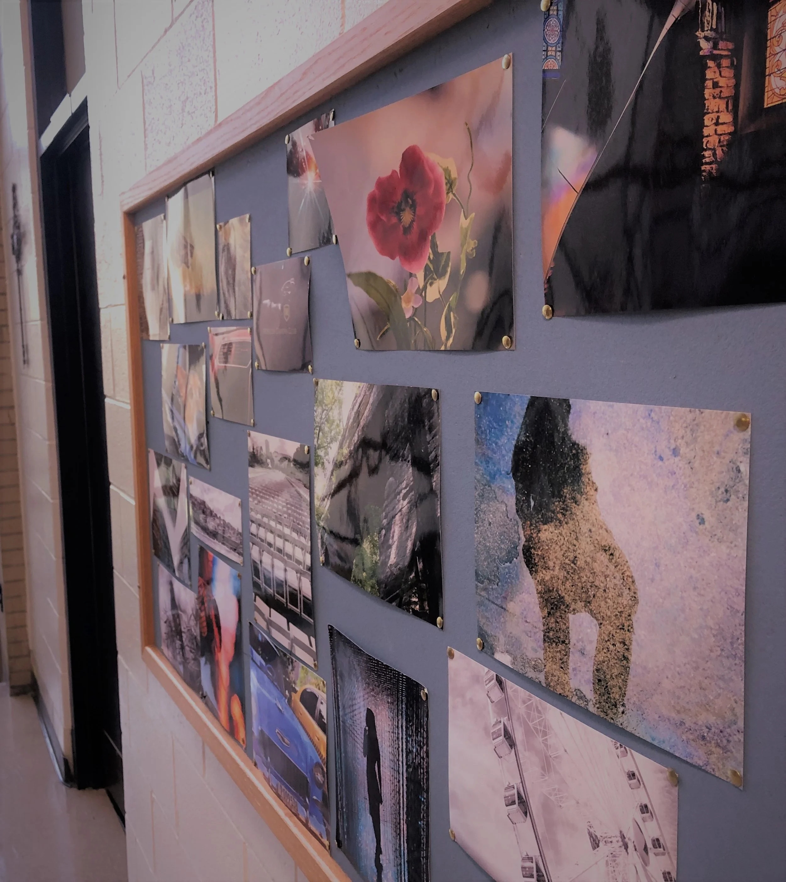 A Glimpse Through the Lens of Moeller Photography