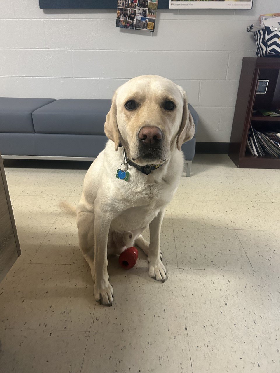 Best in Show: Sidon at Moeller