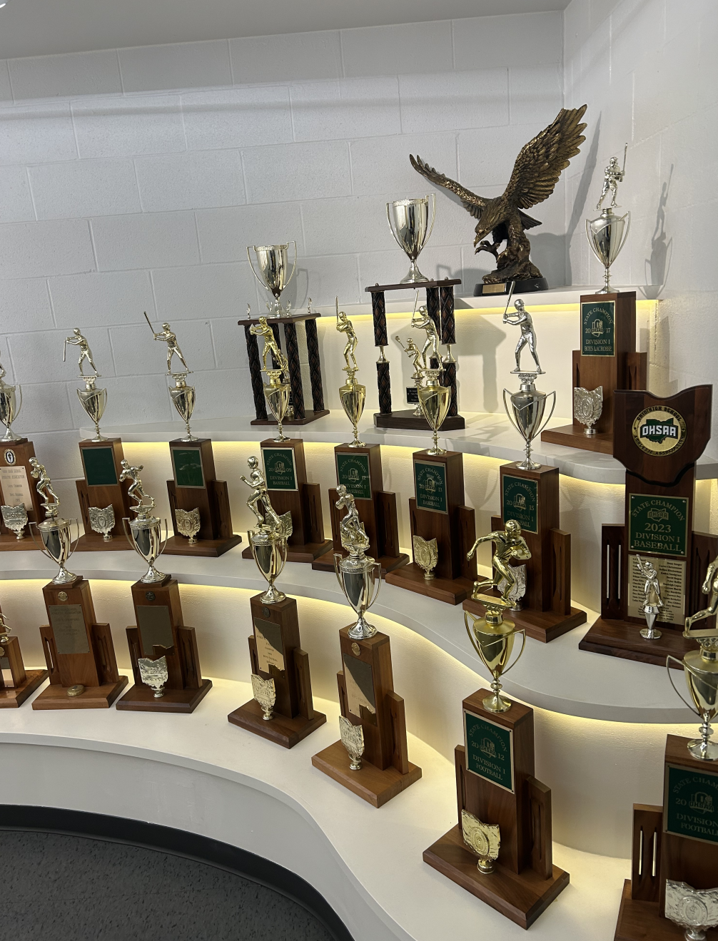 Private vs. Public - Could Ohio High School Sports Change Forever.