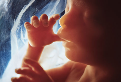 20weeks.jpg