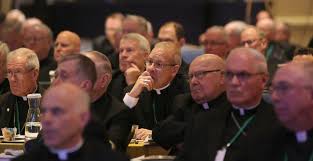 US Bishops meeting.jpeg