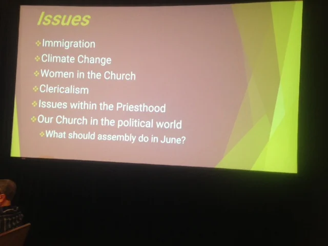 Participants in the 2019 Assembly of the Association of U.S. Catholic Priests are working Wednesday on six issues identified during the assembly Tuesday. The issues are: Immigration, Climate Change, Women in the Church, Clericalism, Issues within the Priesthood, and Our Church in the Political World – Preparing the Voice of the AUSCP for our Next Assembly in June.