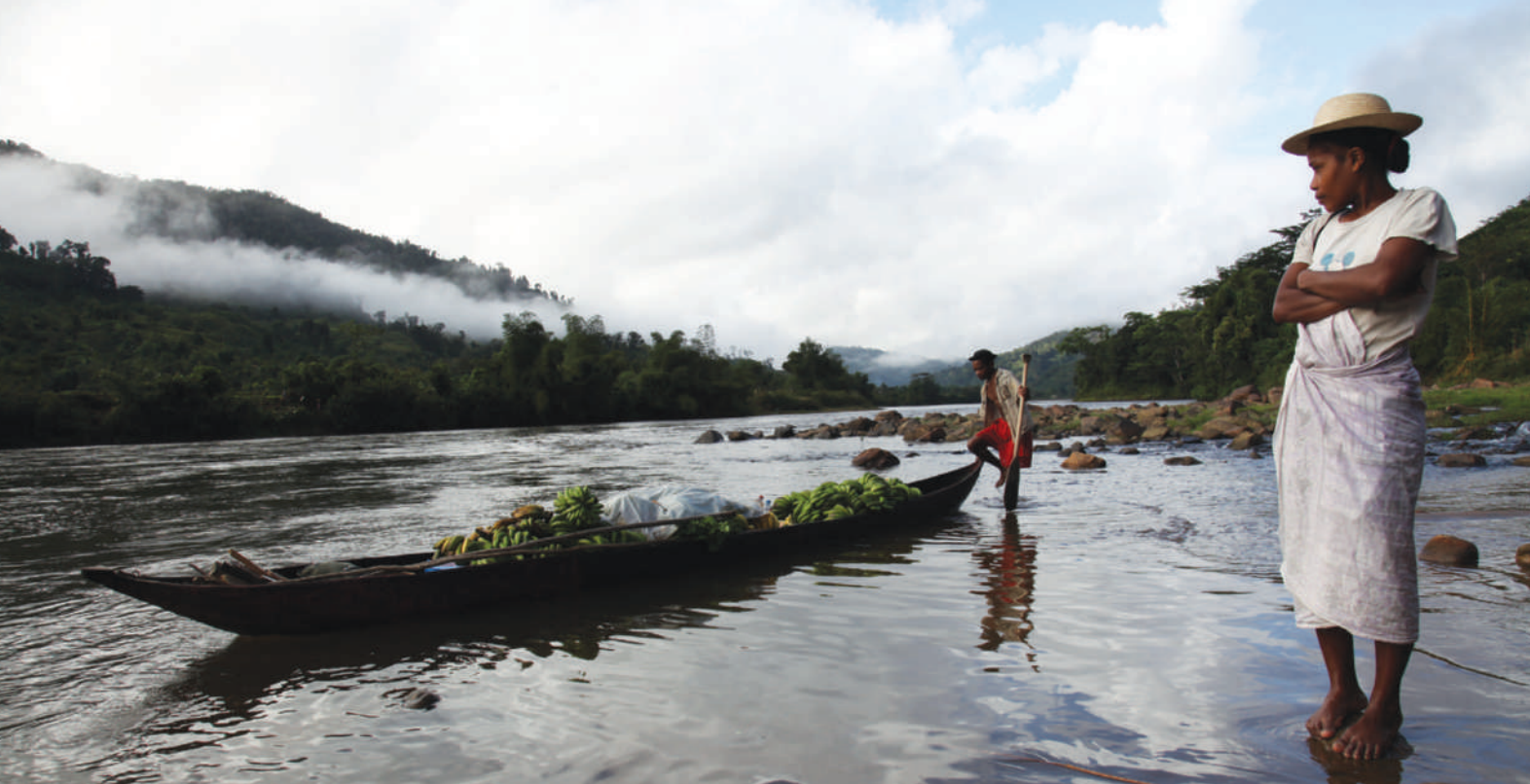 Carbon Trading: How To Save A Forest