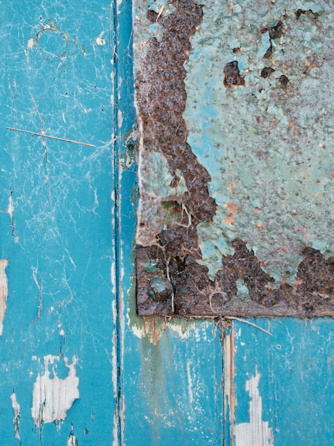 Metal plate corrosion on a long abandoned harbour building door. 