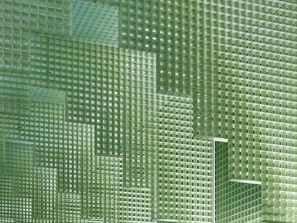 함께 그린 그늘