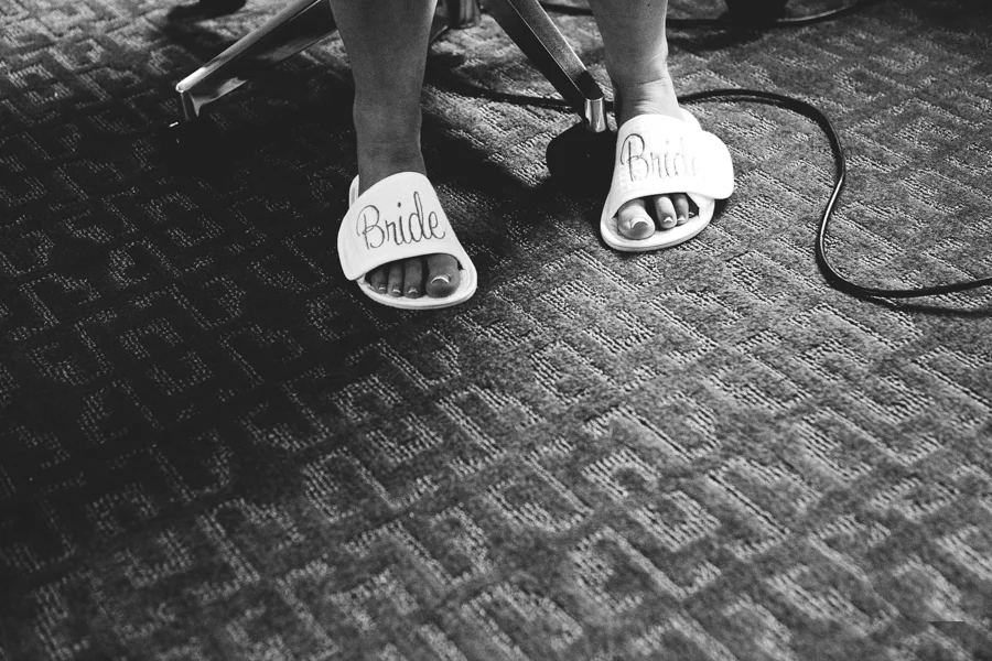 Chicago Wedding Photographer_Adler Planetarium_JPP Studios_AP_08.JPG