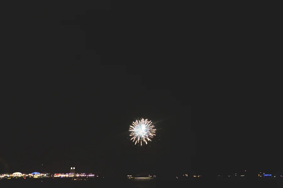 Chicago Wedding Photographer_Adler Planetarium_JPP Studios_AP_49.JPG