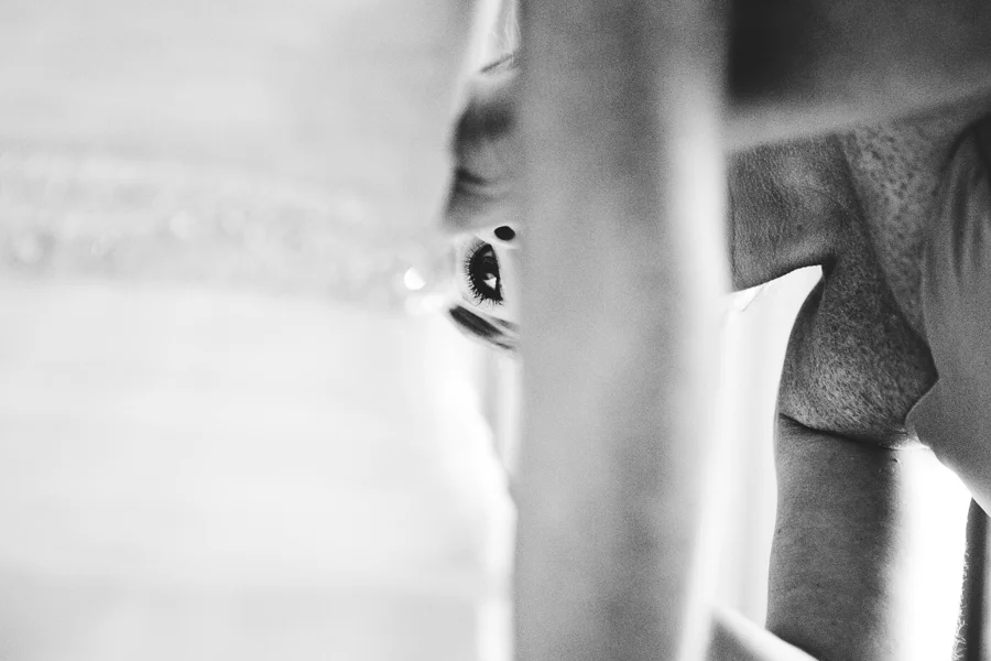 Chicago Wedding Photographer_Saddle Cylcle Club_JPP Studios_MA_12.JPG