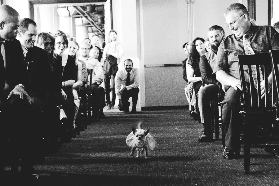 Chicago Wedding Photographer_River Roast_JPP Studios_SM_23.JPG