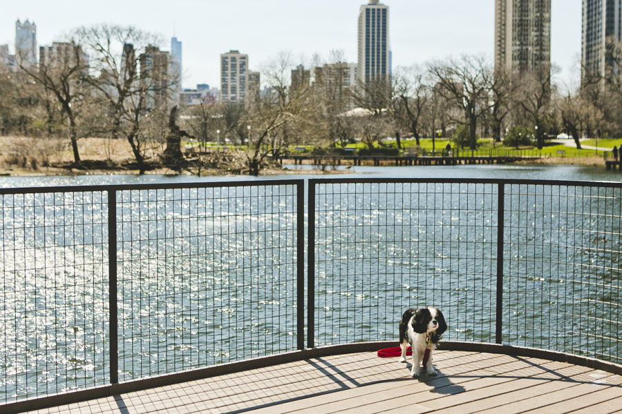 Chicago Family Photography Session_South Pond_JPP Studios_P_09.JPG