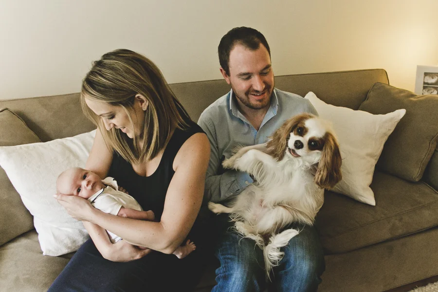 Chicago Family Photography Session_JPP Studios_Kobe_24.JPG