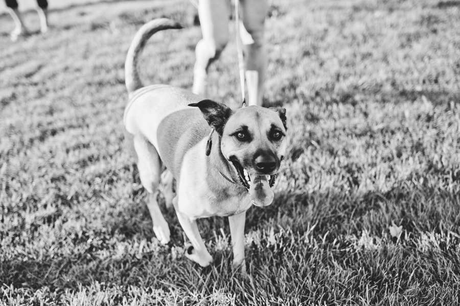 Chicago Engagement Photography Session_Zoo_Lakefront_TA_21.JPG