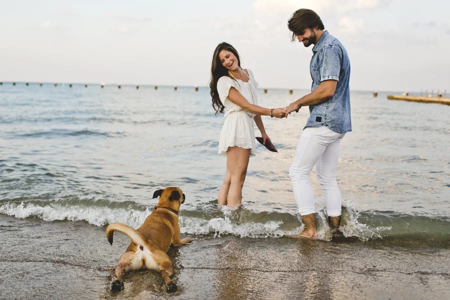 Chicago Engagement Photography Session_Zoo_Lakefront_TA_31.JPG