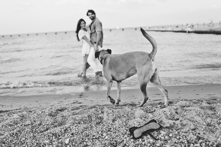 Chicago Engagement Photography Session_Zoo_Lakefront_TA_35.JPG