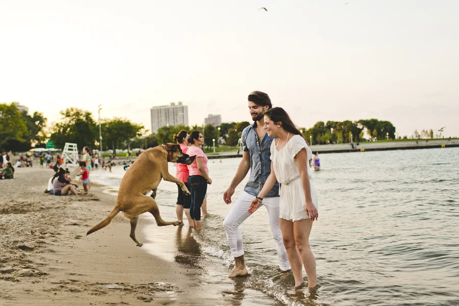 Chicago Engagement Photography Session_Zoo_Lakefront_TA_53.JPG