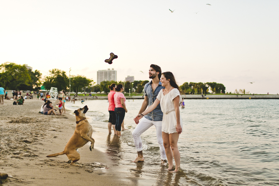 Chicago Engagement Photography Session_Zoo_Lakefront_TA_52.JPG