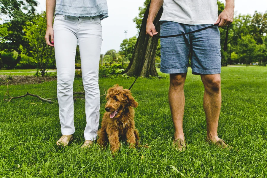 Sara, Josh...and Bosco!