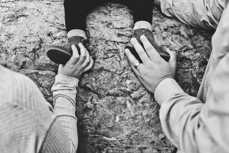 Chicago Family Photographer_Arlington Heights_JPP Studios_Karas_17.JPG