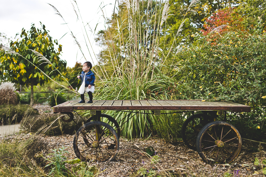 Illinois Family Photographer Session_Urbana_JPP Studios_C_07.JPG