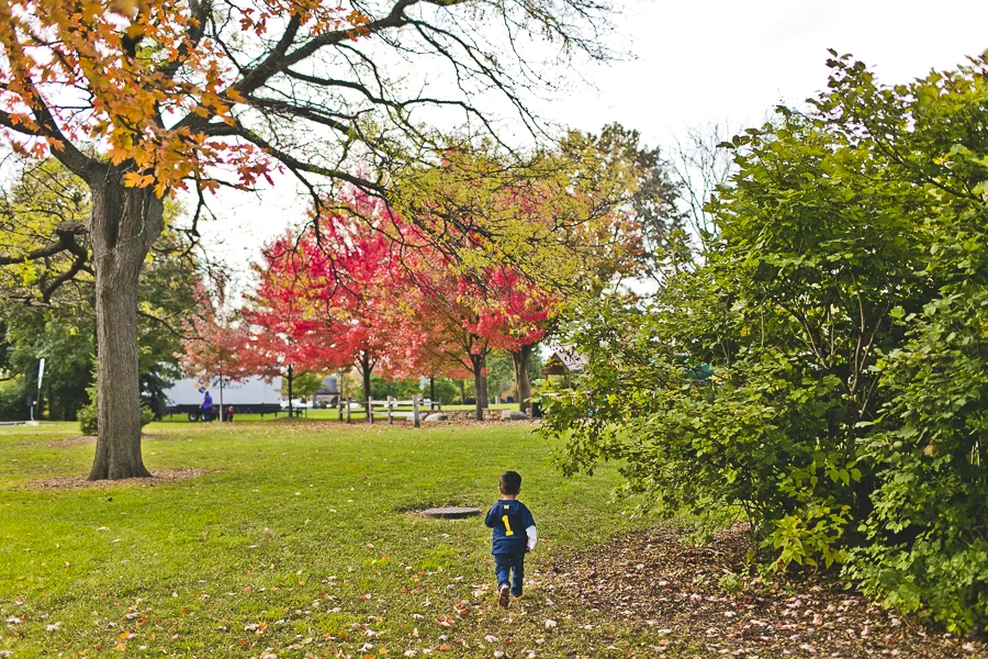 Elmhurst Family Photography Session_JPP Studios_Autumn_B_25.JPG