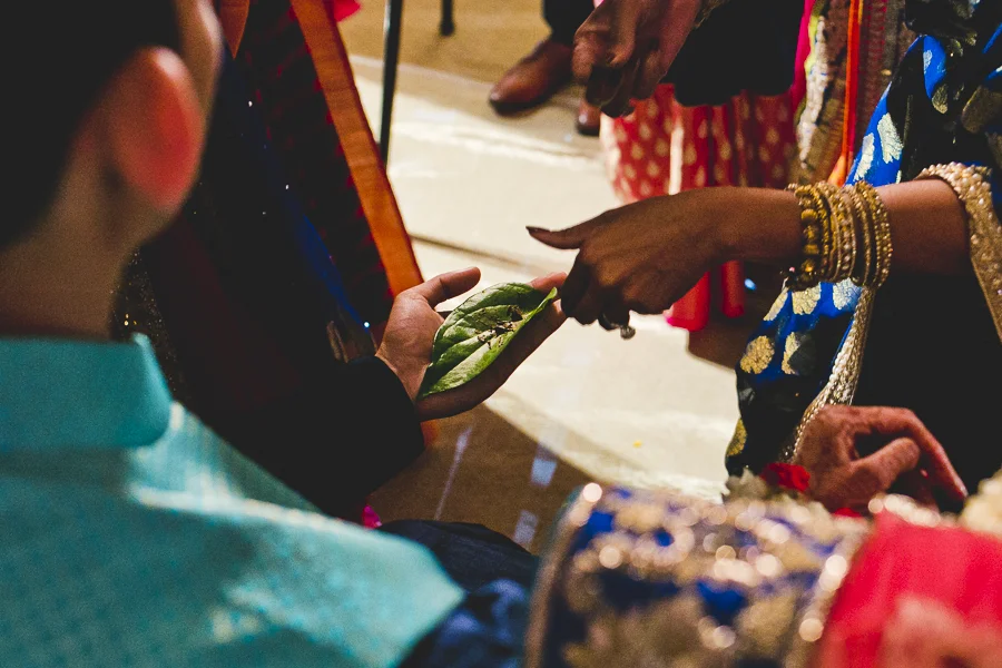 Chicago Indian Wedding Photographer_JPP Studios_PA_42.JPG