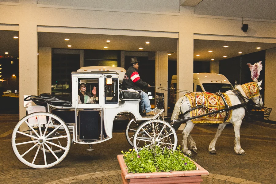Chicago Indian Wedding Photographer_JPP Studios_PA2_134.JPG