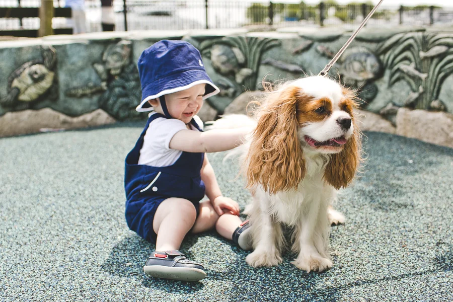 Chicago Family Photography Session_Lakefront_Kobe_07.JPG