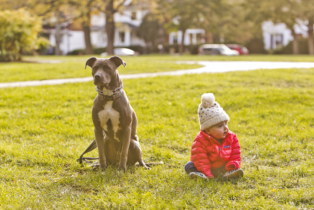 Evanston Family Photographer_at home_session_tarlock_20.JPG