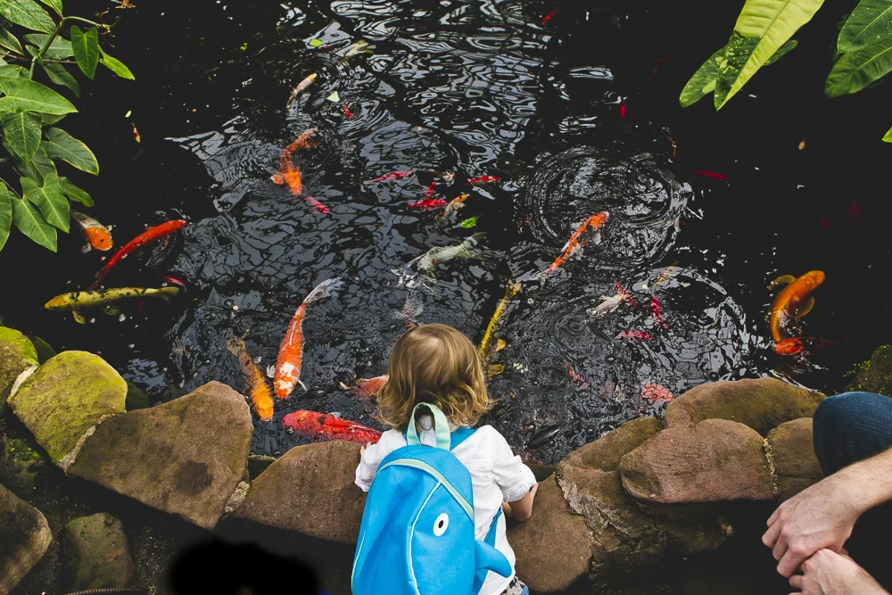 Chicago Family Photographers_Garfield Park Conservaotry_JPP Studios_Rouse_04.JPG